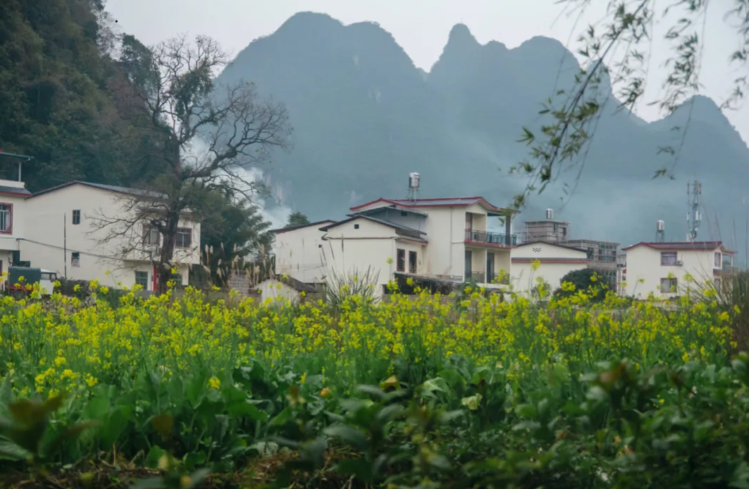 我们进步了，但我们更加自我导向（实践版）| 第二届自我导向教育体验营